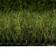 Изкуствена трева Czar, 50 мм. 2