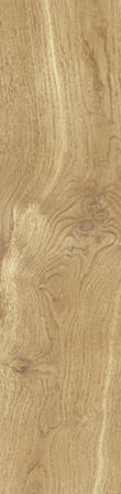 Гранитогрес Grionatta oro 60x11